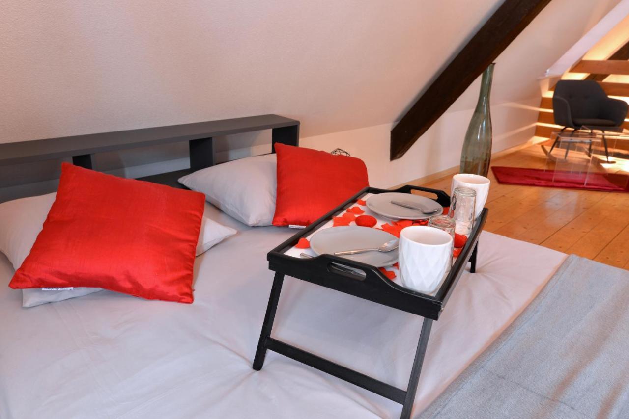 Appartement L'Elegant De La Petite Venise Colmar Zewnętrze zdjęcie