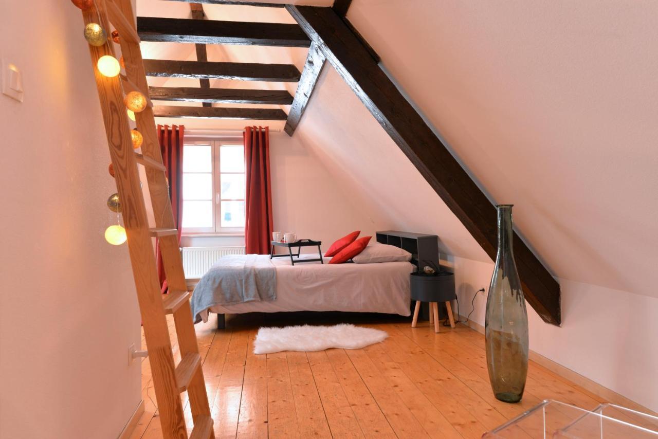 Appartement L'Elegant De La Petite Venise Colmar Zewnętrze zdjęcie